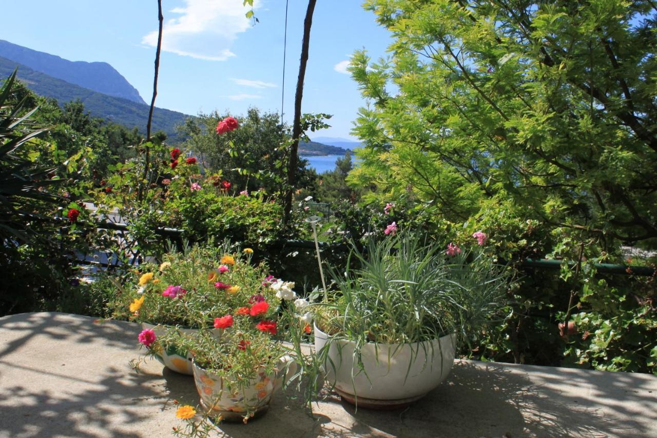 Apartments And Rooms With Parking Space Tucepi, Makarska - 6901 Ngoại thất bức ảnh
